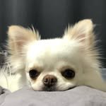 nail_by_jeje 프로필 사진