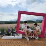 jjy92377 프로필 사진