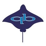 qbpaddles 프로필 사진