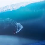 kealakennelly 프로필 사진