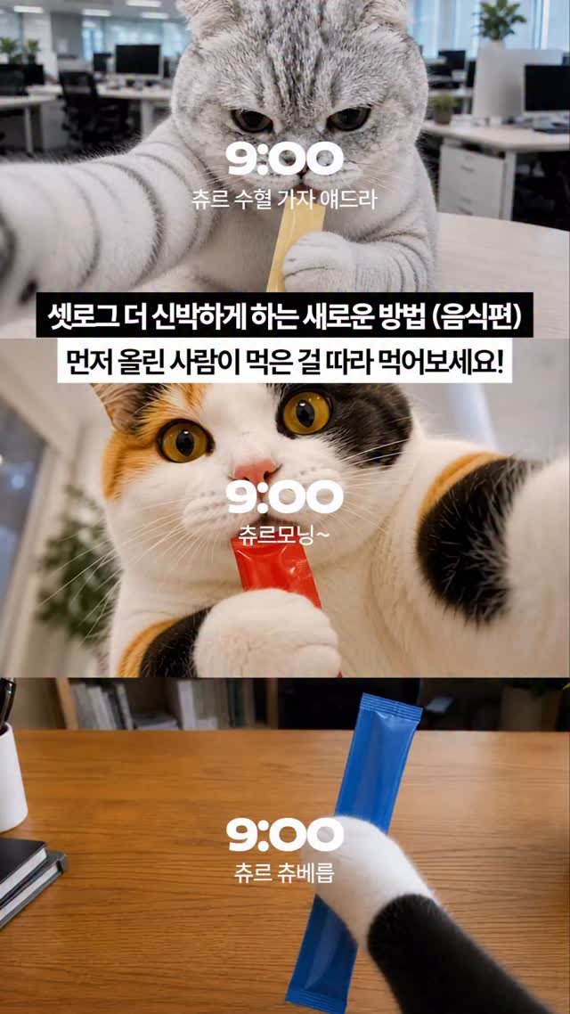 cjcheiljedang 게시물 이미지: 같이 찍을 친구에게 이 릴스를 공유해보세요.. 🐷💌

*AI로 만들어진 콘텐츠입니다.
