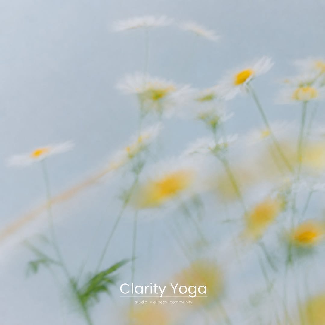 clarity.yoga.seoul 게시물 이미지: ⠀
｜클래리티요가 이용 안내｜
⠀
1. App Store에서 ‘어시스트핏’을 검색...