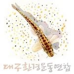 dgkfem 프로필 사진