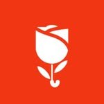 scarlet_chacha_ 프로필 사진