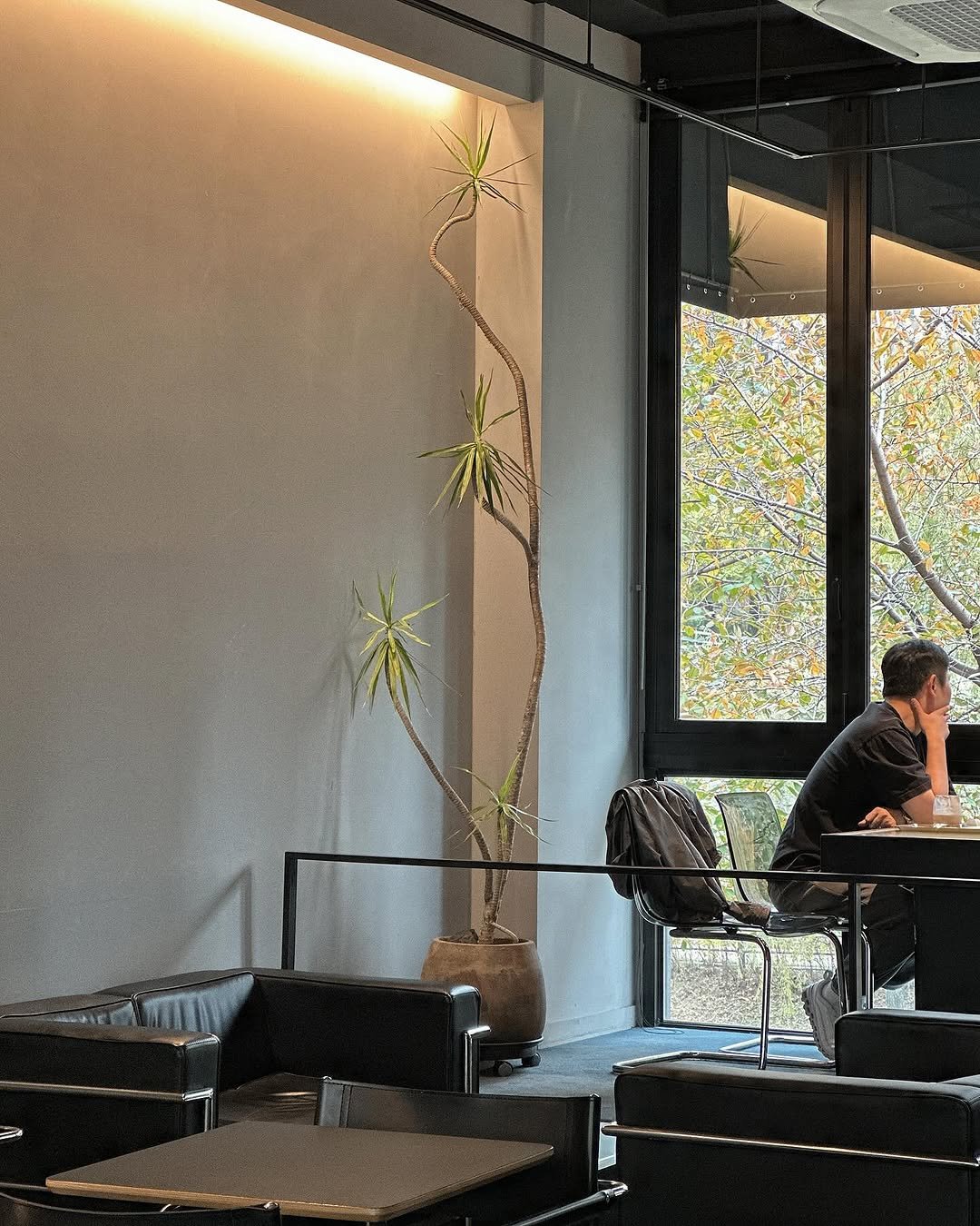 Photo by 클라우드포레스트 플랜테리어 실내외조경 조화조경 on November 10, 2025. May be an image of lighting, indoors and text.