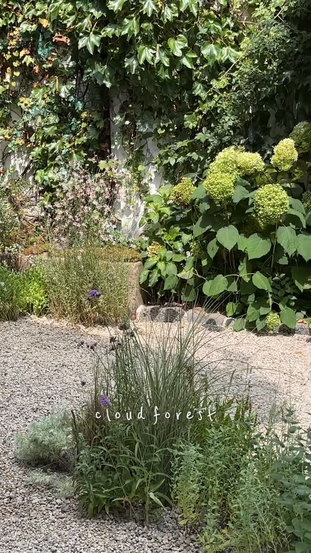 cloudforest_ 게시물 이미지: 이번에 작업한 곳은 유니크한 단독주택 건물의 야외 웨딩스튜디오...