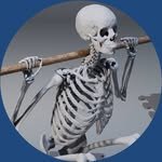 anatomy.of.motion 프로필 사진