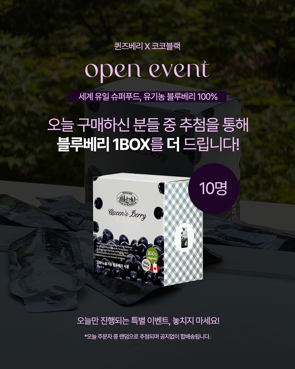 Photo by 코코블랙  권영주 on August 10, 2025. May be an image of text that says '퀀즈베리 x 코코블랙 open openevent event 세계 유일 슈퍼푸드, 유기농 블루베리 100% 오늘 구매하신 분들 중 추첨을 통해 블루베리 1B 더 드립니다! 10명 Queen'sBery Queen's 6e4y dn Nay 100 onganic 1091%유기농 블루베리 사통 Spns 오늘만 진행되는 특별 이벤트, 놓치지 마세요! 오늘 주문자 중 랜덤으로 추첨되며 공지없이 합배송됩니다.'.