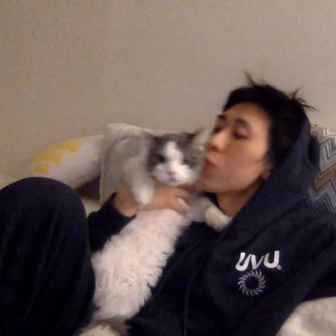 Photo by CODE KUNST on August 24, 2025. May be an image of 1 person, people kissing, ragdoll cat, kitten and text.
