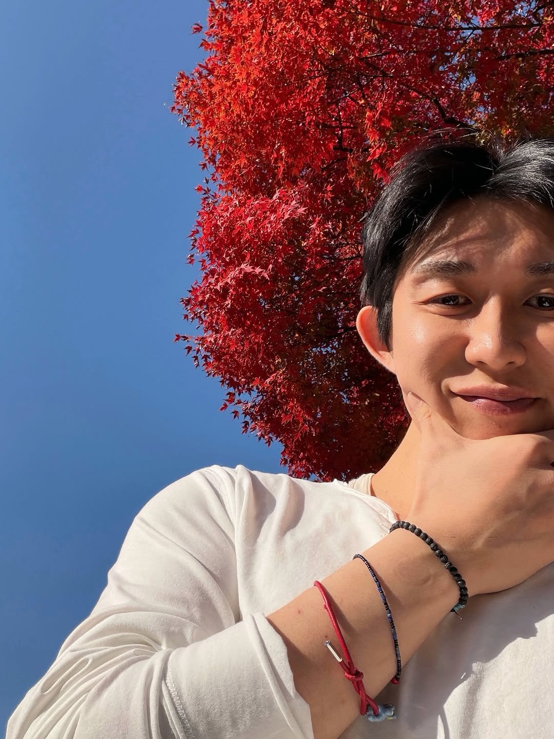 Photo by CODE KUNST on November 16, 2025. May be an image of baby's-breath, tree, outdoors and text.