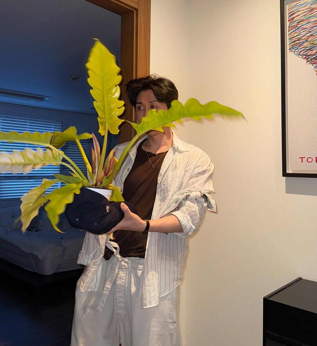 Photo by CODE KUNST on June 08, 2025. May be an image of house plant.