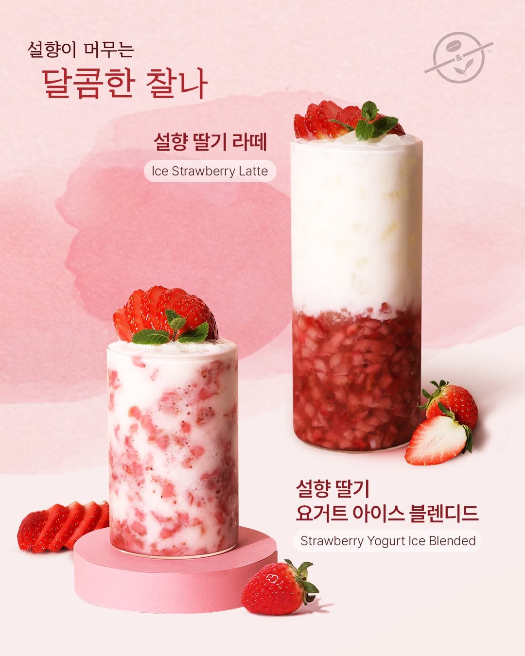 Photo shared by 커피빈코리아 on January 11, 2026 tagging @coffeebean_kr. May be an image of dessert, smoothie, strawberry and text that says '설향이 머무는 달콤한 찰나 설향 딸기 라떼 Ice Strawberry StrawberryLatte Latte 설향 설향딸기 딸기 요거트 아이스 블렌디드 Strawberry Yogurt Ice Blended'.