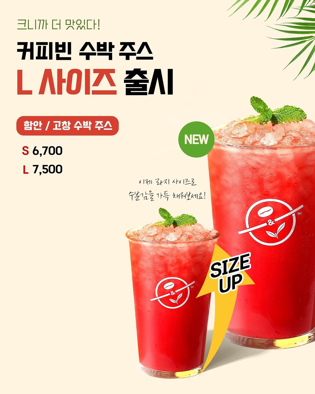 Photo shared by 커피빈코리아 on August 25, 2025 tagging @coffeebean_kr. May be an image of watermelon, juice, smoothie and text that says '크니까 크니까더맛있다! 더 맛있다! 커피빈 수박 수박주스 주스 L 사이즈 출시 함안 / 고창 수박 주스 S6,700 S -7,500 NEW 이제 라지 사의 이체라지사이즈로 사이즈로 즈로 수분감을가득 가득 채워보세요! SIZE ਅ UP'.
