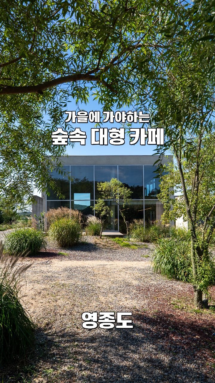 coffeegomi 게시물 이미지: 가을에 가야 하는 숲속 대형카페
영종도에 있는 #빌리앤오티스 입니다.

가을마다...