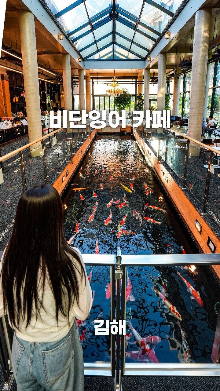 coffeegomi 게시물 이미지: 비단잉어 150마리가 헤엄치는 대형 수조 카페!
김해에 있는 #커피앤더코이...
