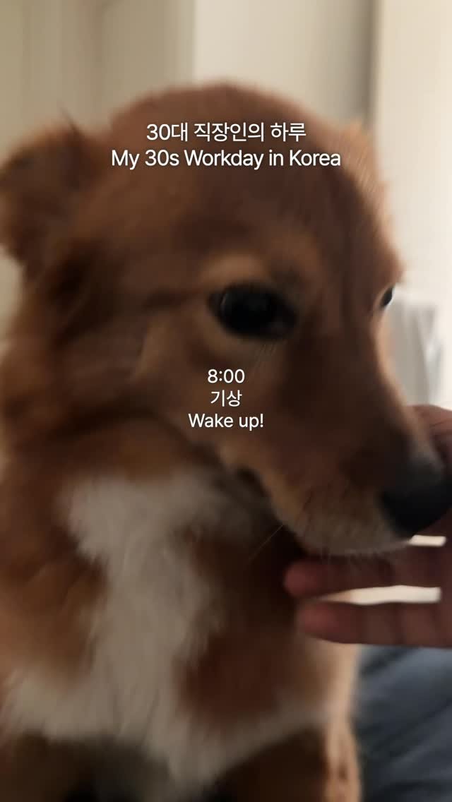 coguy_ 게시물 이미지: 오늘도 출근하는 30대 직장인의 하루

#직장인 #일상 #vlog