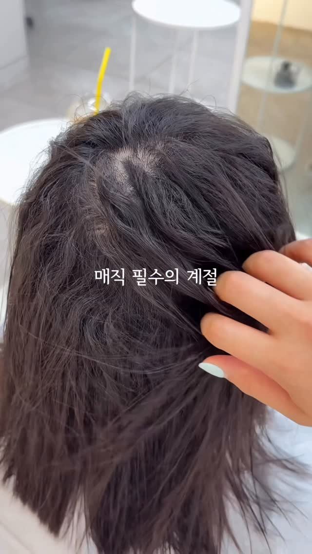comodo_magic 게시물 이미지: 돌아온 매직 필수의 계절♥ 

무더위와 곧 시작될 장마 대비로 예약이 빠르게...