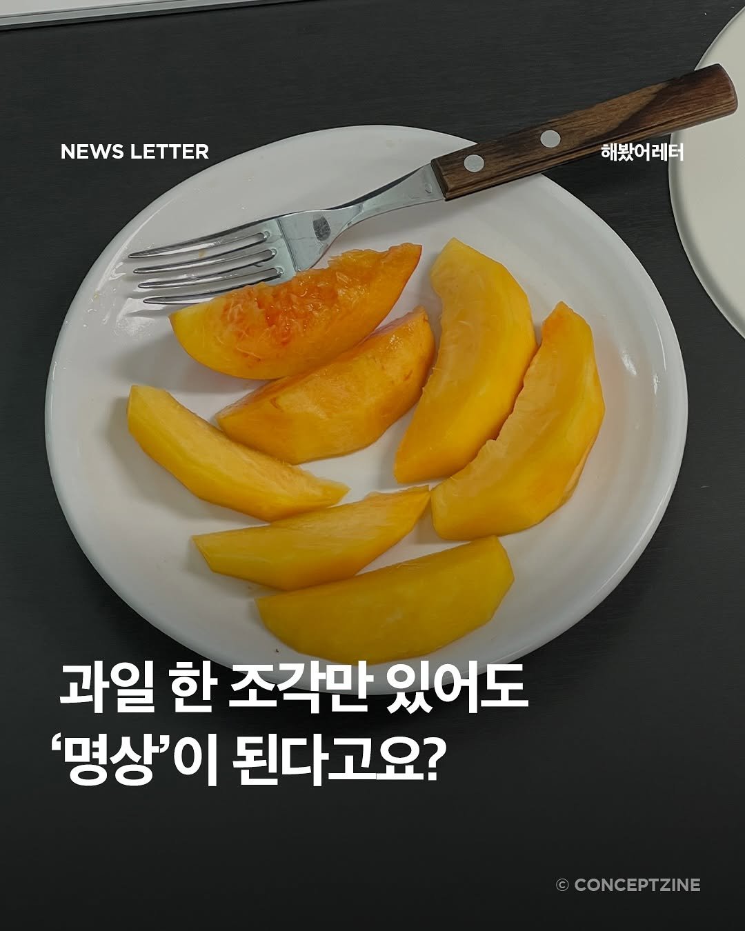 Photo by 컨셉진 ‘우리는 매달 새로운 사람이 됩니다’ on August 15, 2025. May be an image of fruit and text that says 'NEWSLETTER NEWS LETTER 해봤어레터 레터 과일 한 조각만 있어도 '명상'이 된다고요? CONCEPTZINE'.