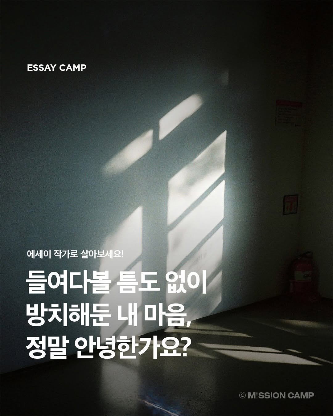 Photo shared by 컨셉진 ‘우리는 매달 새로운 사람이 됩니다’ on August 11, 2025 tagging @conceptzine_official. May be an image of text that says 'ESSAYCAMP ESSAY CAMP 에세이 작가로 살아보세요! 들여다볼 틈도 없이 방치해둔 내 마음, 정말 안녕한가요? MISS!ONCAMP CAMP'.