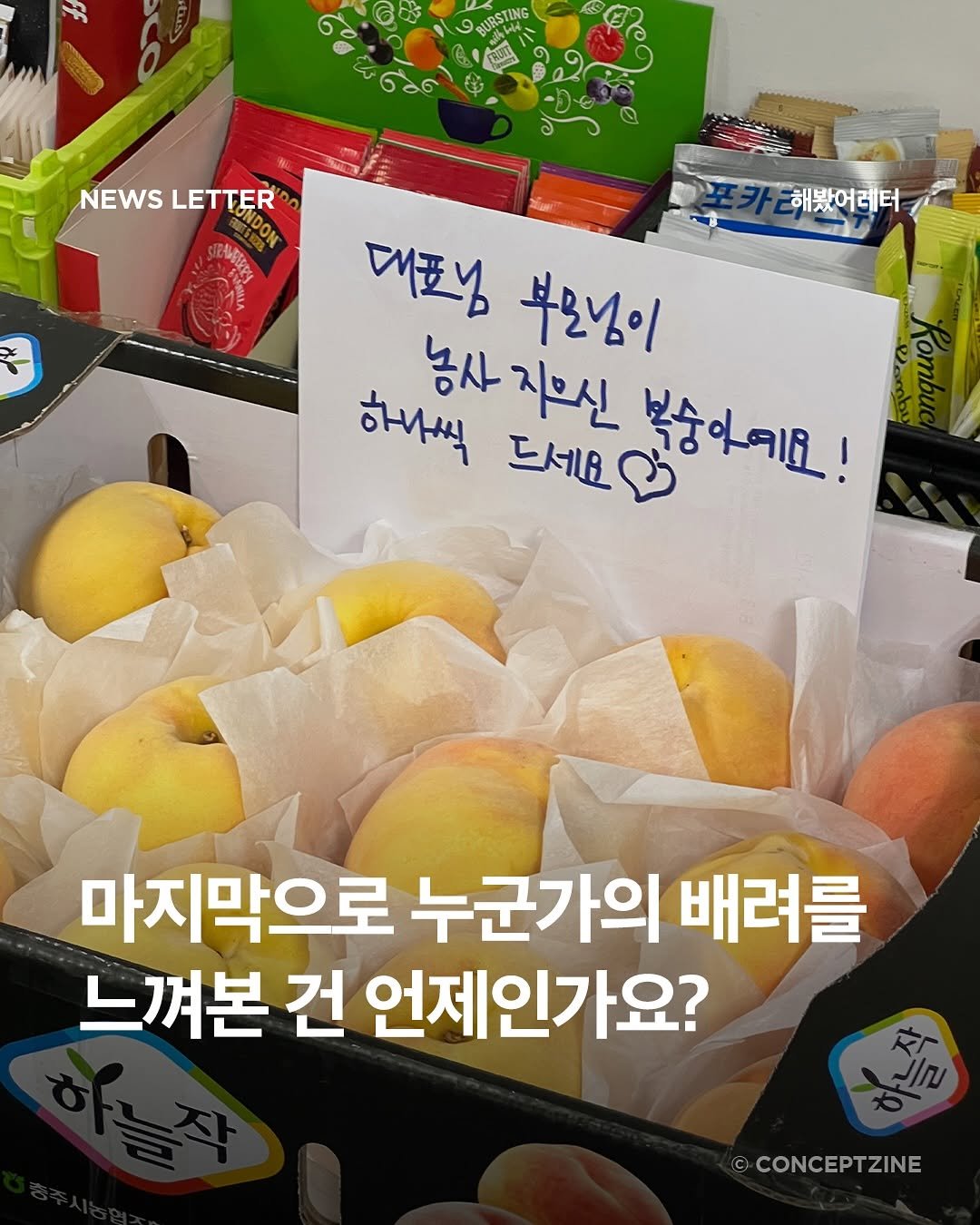 Photo by 컨셉진 ‘우리는 매달 새로운 사람이 됩니다’ on September 12, 2025. May be an image of ‎pomegranate, mango, pomelo and ‎text that says '‎SURSTING NEWS NEWSLETTER LETTER ON ل 해봤어데터 대포님 부모님이 하나씩 드세요 드세요 지으신 복숭어이요! 농사지으신 농사 마지막으로 누군가의 배려를 느껴본 건 언제인가요? ©CONCEPTZINE‎'‎‎.