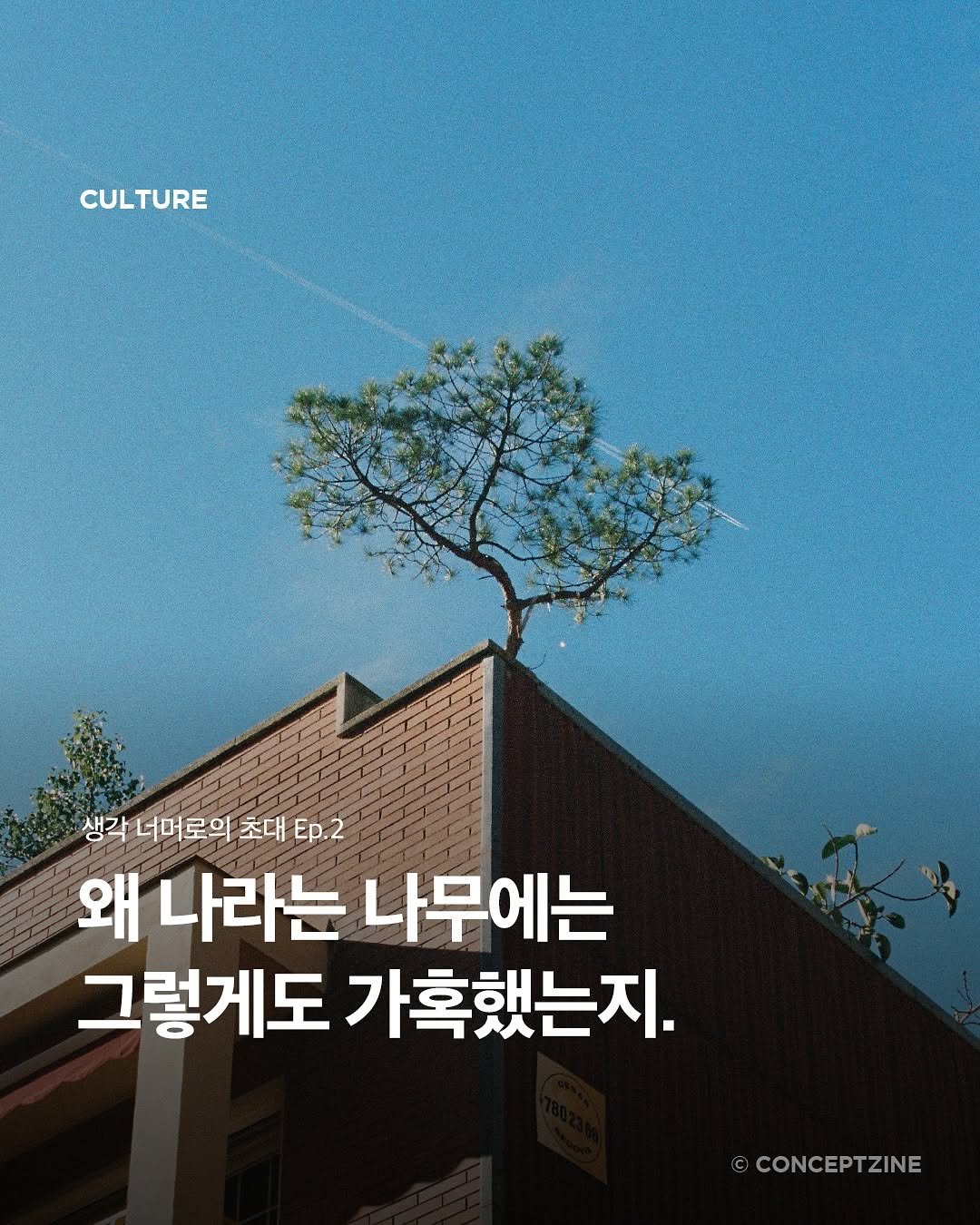 Photo by 컨셉진 ‘우리는 매달 새로운 사람이 됩니다’ on August 14, 2025. May be an image of poster, magazine and text that says 'CULTURE CUL' TURE 생각 너머로의 초대 Ep.2 왜 나라는 나무에는 그렇게도 가혹했는지. CONCEPTZINE'.