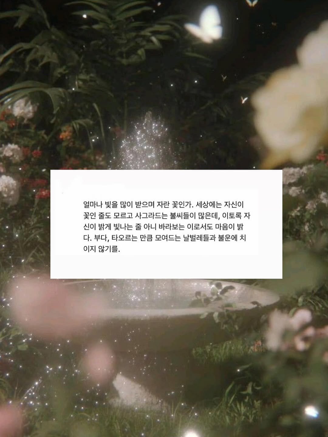 conniyu 게시물 이미지: 짧은 문장 속에서 오래 머물렀습니다. 고맙습니다🙏🏻