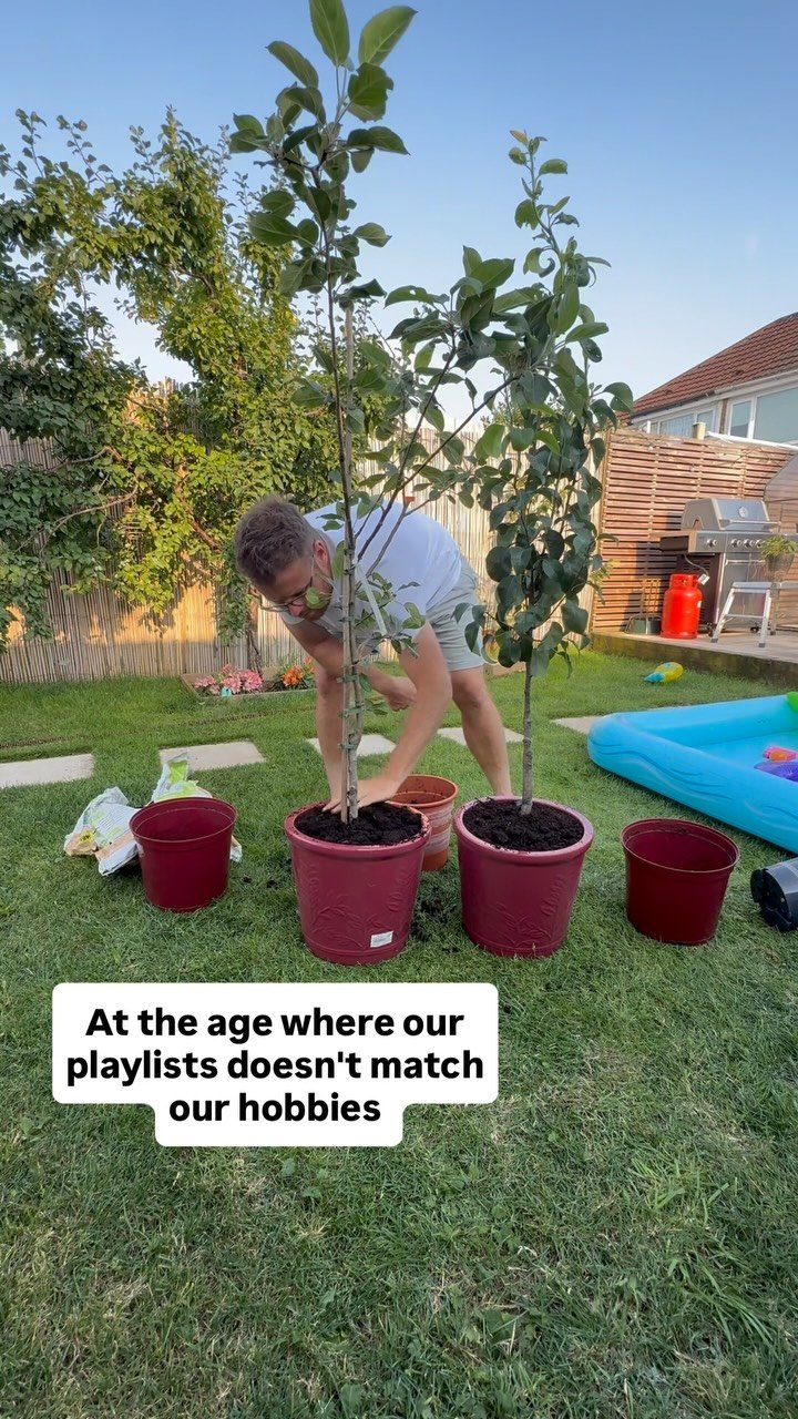conor_the_digger_driver 게시물 이미지: Wait till these patio fruit trees start to...