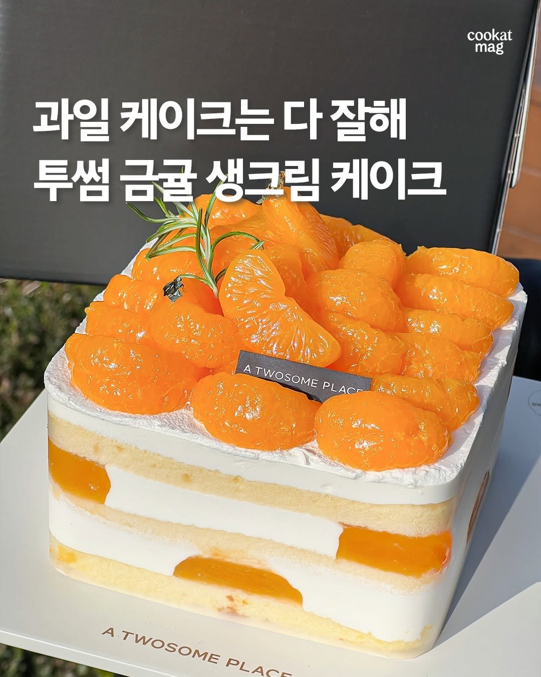 Photo shared by 쿠캣매거진 on March 13, 2025 tagging @atwosomeplace_official. May be an image of chiffon cake, pie, fruitcake, mango and text that says 'cookat mag 과일 케이크는 다 잘해 투썸 금귤 생크림 케이크 A TWOSOME TWOSOME PL PLACT AC cr おっP号 古號 A ATWOSOME TWOSOME PLAC- PL PLACH'.