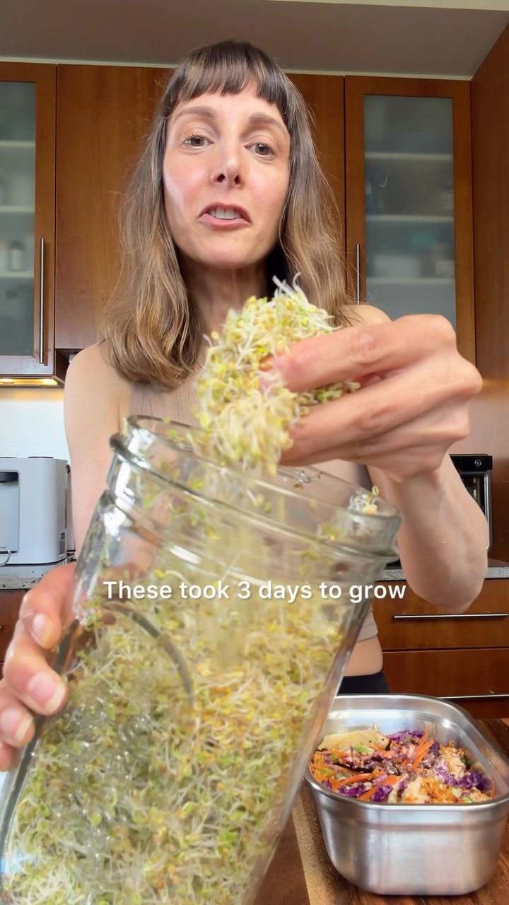 cookingforpeanuts 게시물 이미지: Comment YES and I’ll send you my sprouts &...