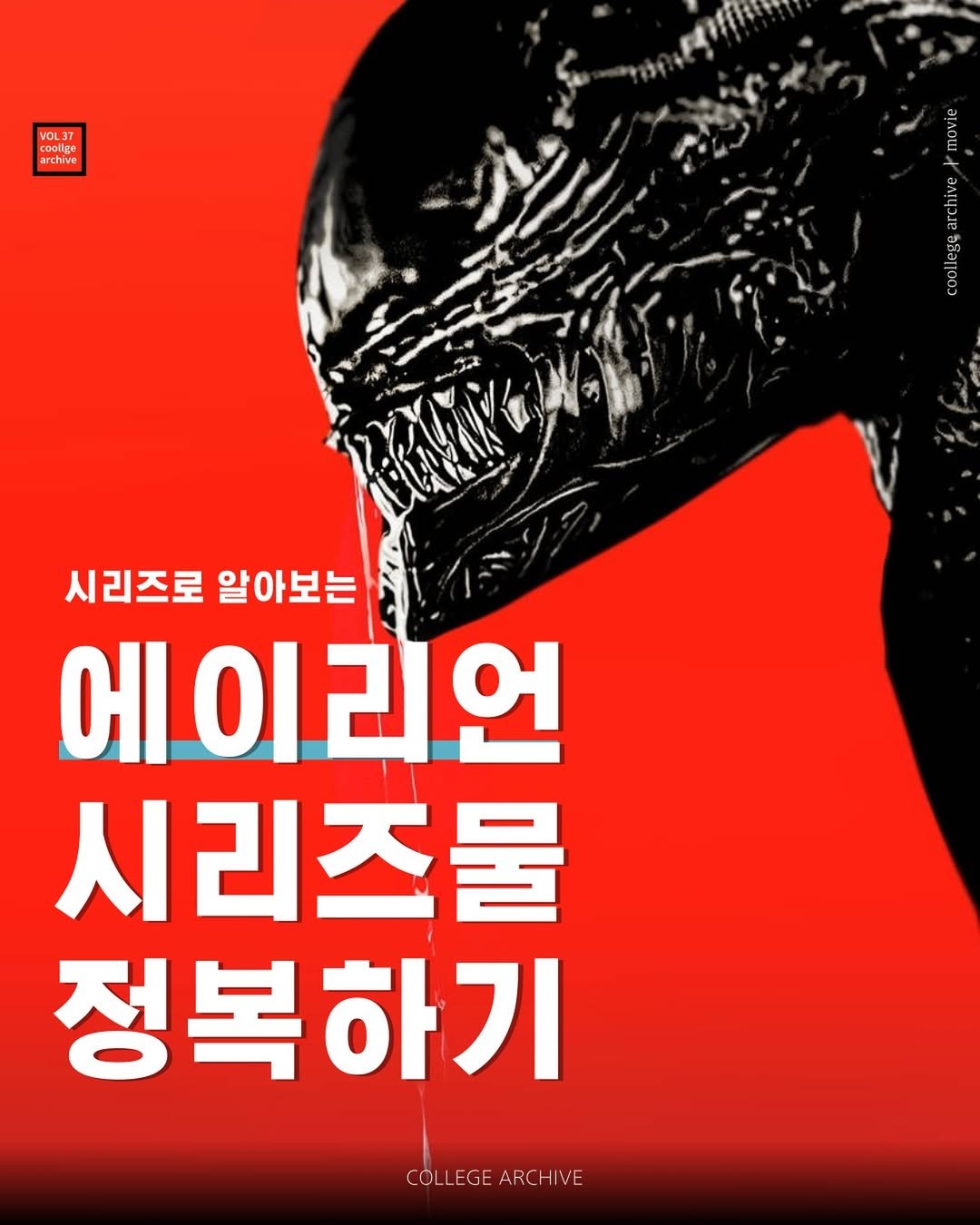 Photo by Too cool for schoolㅣ쿨리지아카이브ㅣCoollege archive on August 20, 2024.