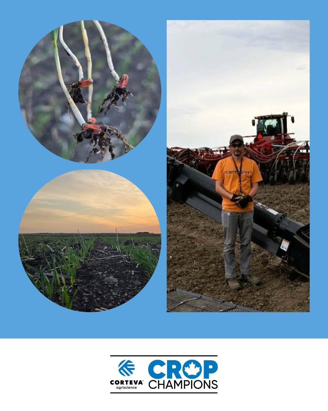 The image is a collage with a blue background. It features three photos: the top left shows sprouting seeds, the bottom left depicts a view of a young wheat crop in a field at sunset, and the right photo shows a person standing beside farming equipment in a field. The bottom displays logos for Corteva Agriscience and Crop Champions.