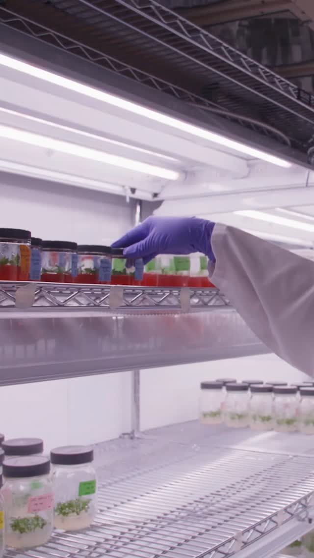cortevaca 게시물 이미지: Who’s behind Canada’s plant science...