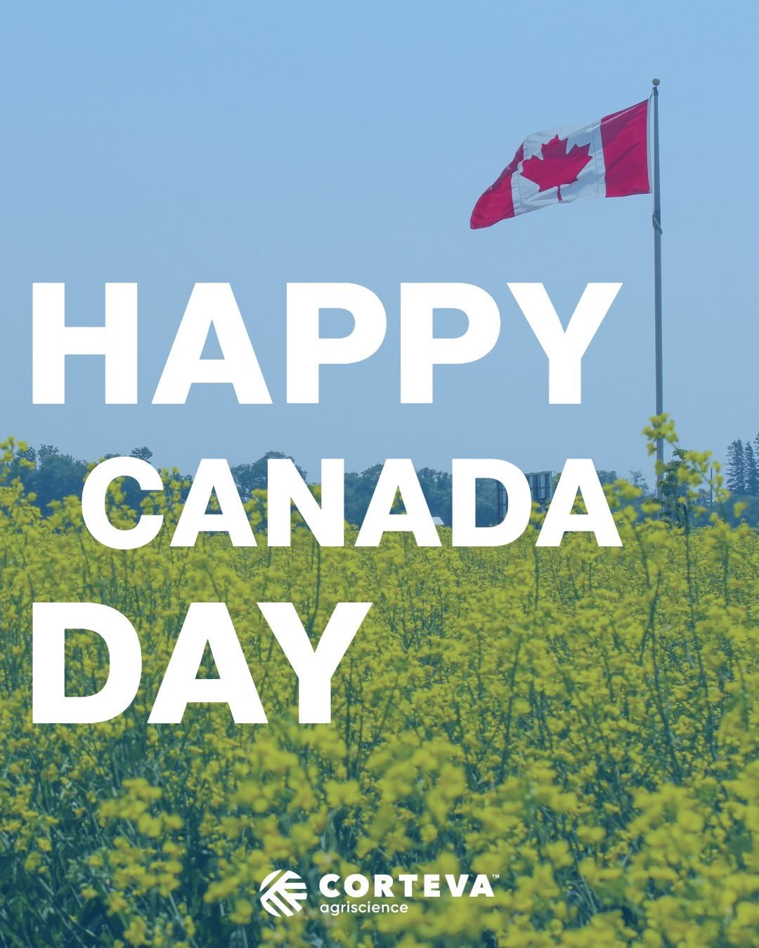 cortevaca 게시물 이미지: Happy Canada Day! 🇨🇦 

We're proud to support...