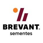 brevantsementes 프로필 사진