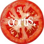 seanily8 프로필 사진