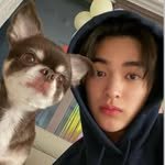 keonhos.cortis 프로필 사진