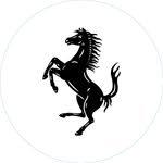 ferrariuk 프로필 사진