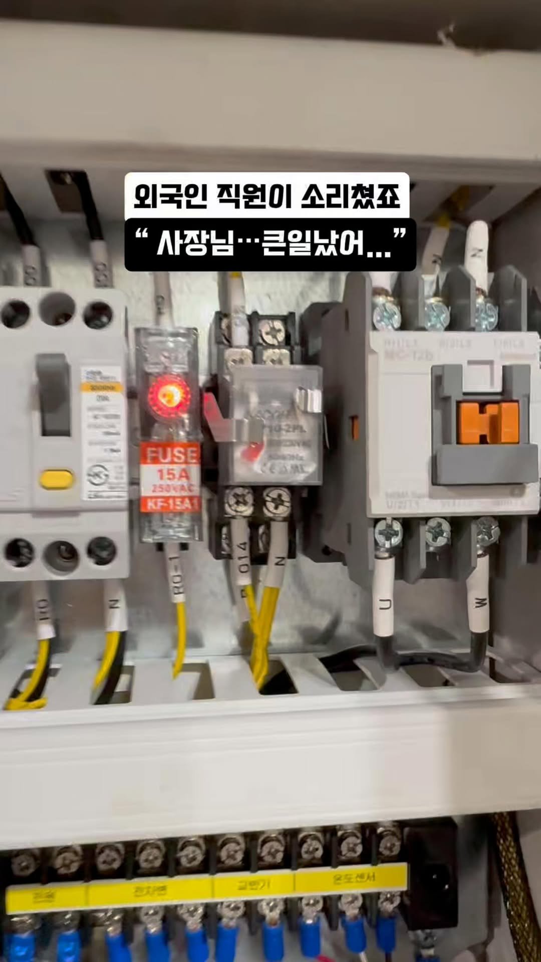 coshapapa 게시물 이미지: 외국인직원이 다급하게 소리침..
“사장님 큰일났어....”

“배즙 기계...
