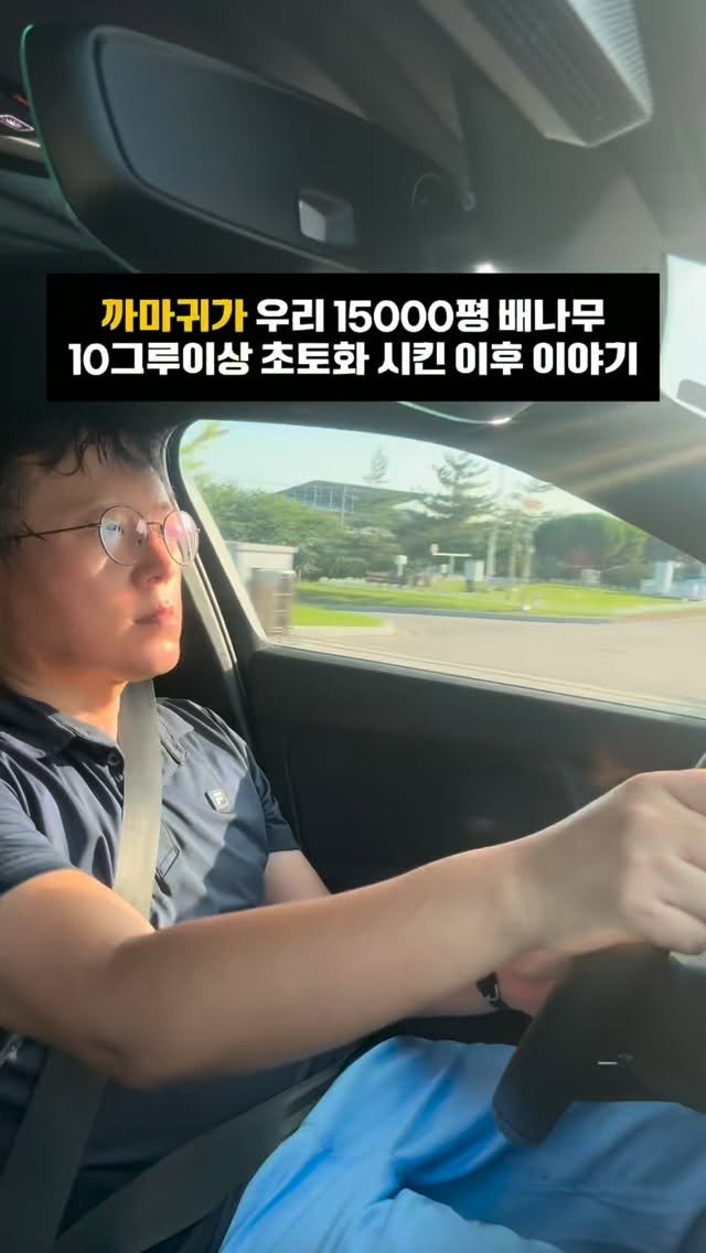 coshapapa 게시물 이미지: “이제 난 배키퍼다.” 🍐🐦

까마귀에게 초토화된 배나무를 보고

결국...