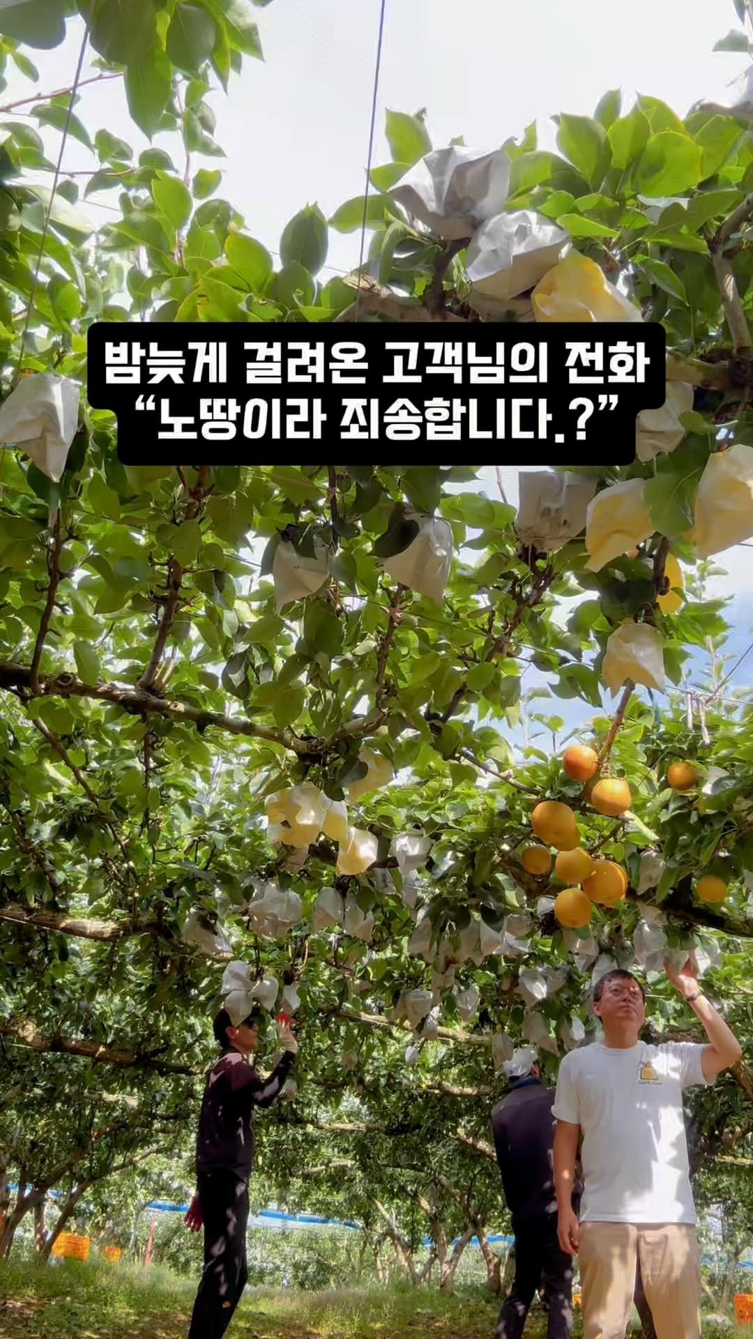 coshapapa 게시물 이미지: “아.. 고객님..

저희가 감사드립니다. “

저녁을 먹고 있는데 모르는 번호로...