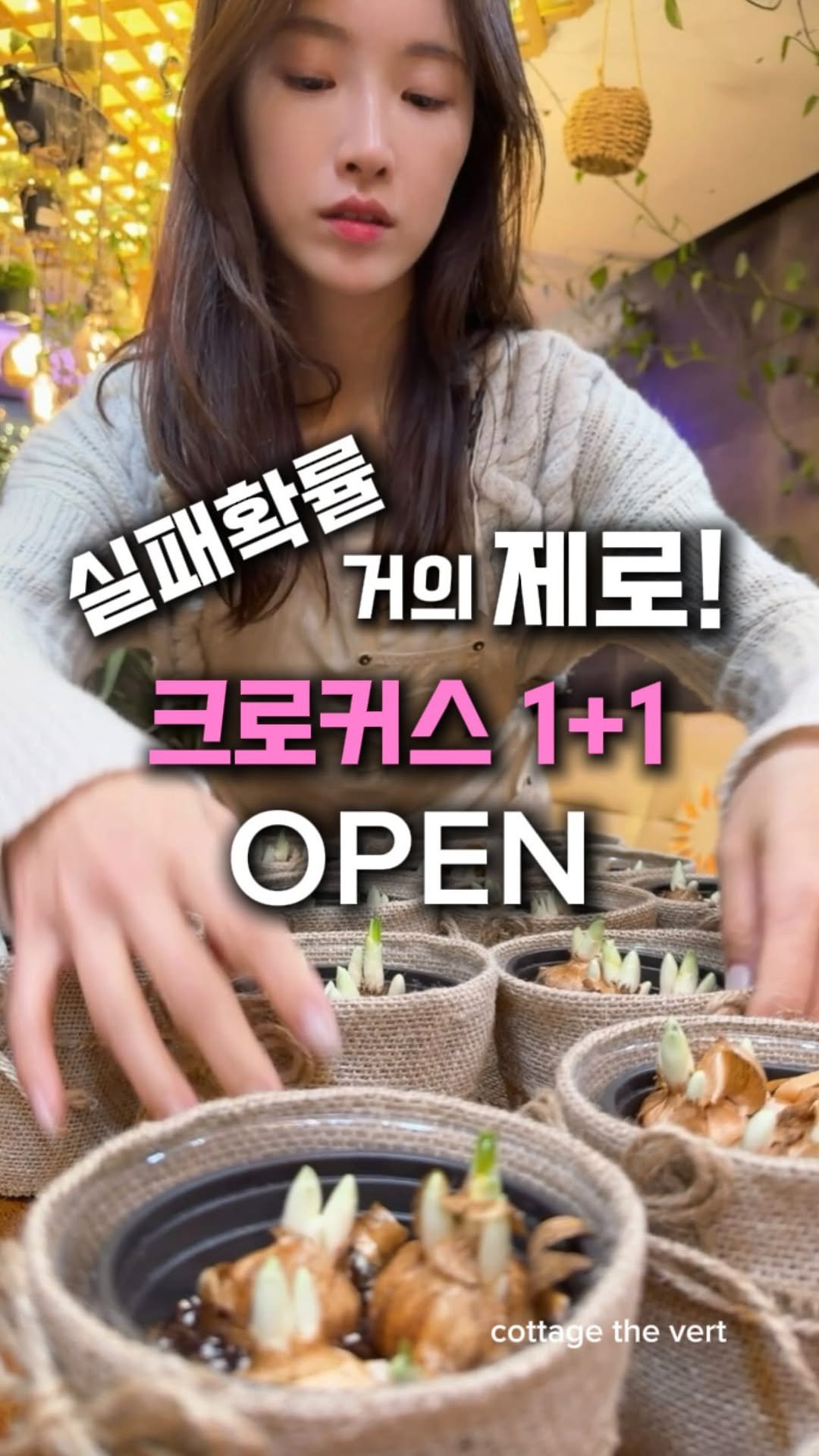 cottage_the_vert_gardengirl 게시물 이미지: -
요즘 같은 겨울날,☃️🤍
집 안에서 같이 기다릴 수 있는 꽃이 있으면...