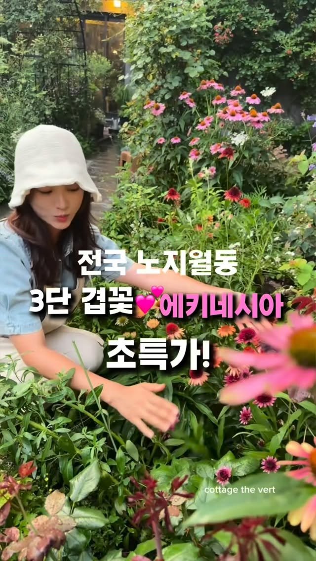 cottage_the_vert_gardengirl 게시물 이미지: 💌댓글에 ’이뽀‘ 남겨주세요
매번 ‘조기 품절 대란’을 일으켰던 바로 그...