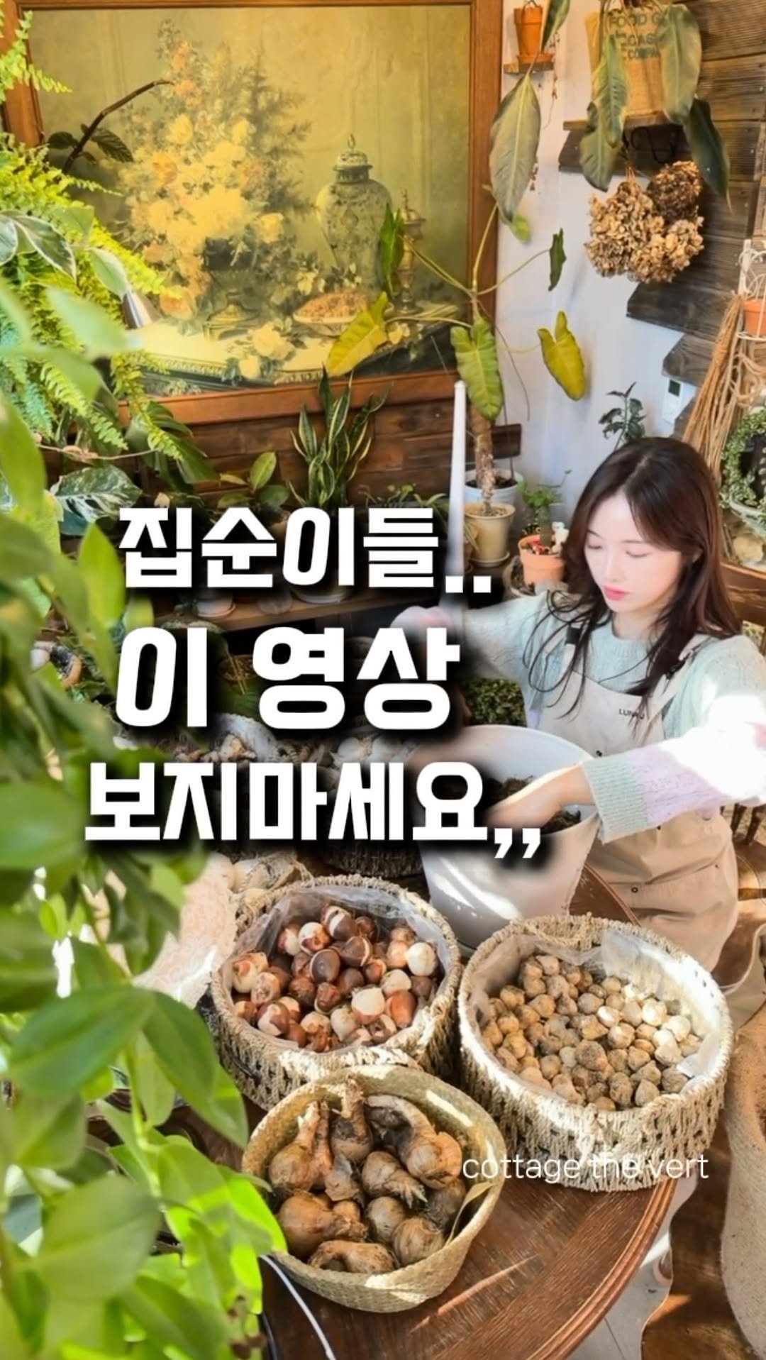 cottage_the_vert_gardengirl 게시물 이미지: 집순이들, 주의❣️집에서 하는 겨울 취미,구근 심기 🌷

겨울엔 날씨도 춥고
어디...