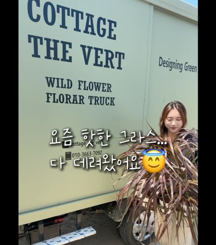 cottage_the_vert_gardengirl 게시물 이미지: -
진짜 요즘 해외에서 주목받는 핫한 그라스들과, 매년 사랑받는 베스트셀러...