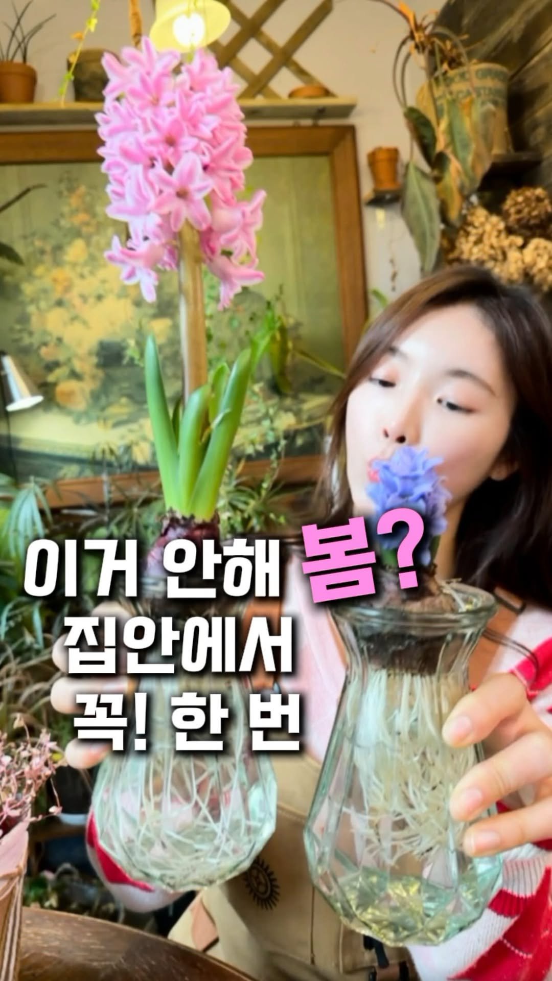 cottage_the_vert_gardengirl 게시물 이미지: 💌댓글에 ‘키트’ 남겨주세요
날은  아직 춥고 밖은 겨울인데,
집 안까지 휑해 보일...