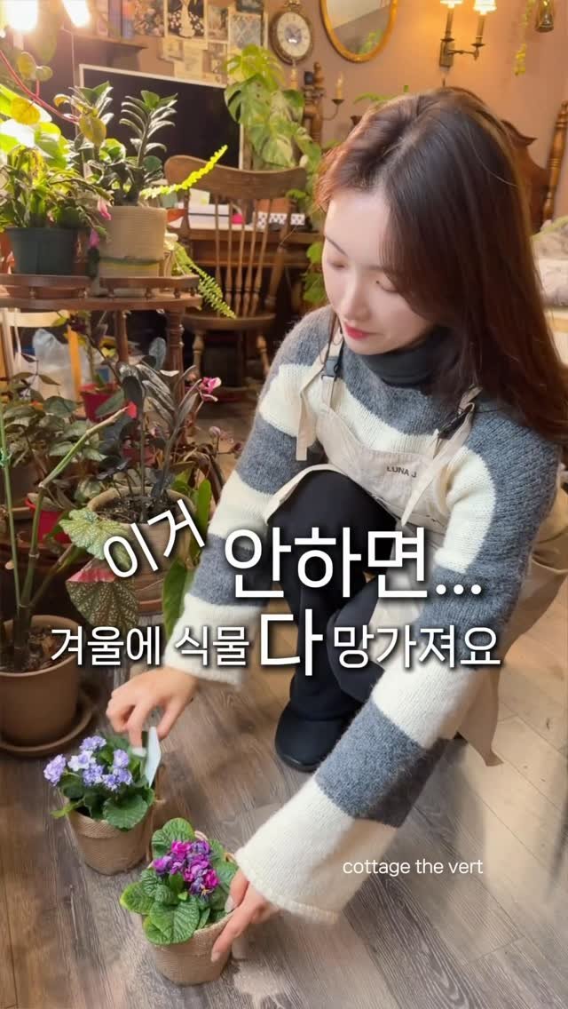 cottage_the_vert_gardengirl 게시물 이미지: 식물 처음 키울 때,
겨울만 되면 이유도 모르고
하나씩 보내본 적… 저도 정말...