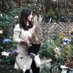 cottage_the_vert_gardengirl 인스타그램 프로필 사진