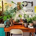 anygarden_ 프로필 사진