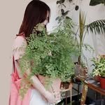iyan.days 프로필 사진