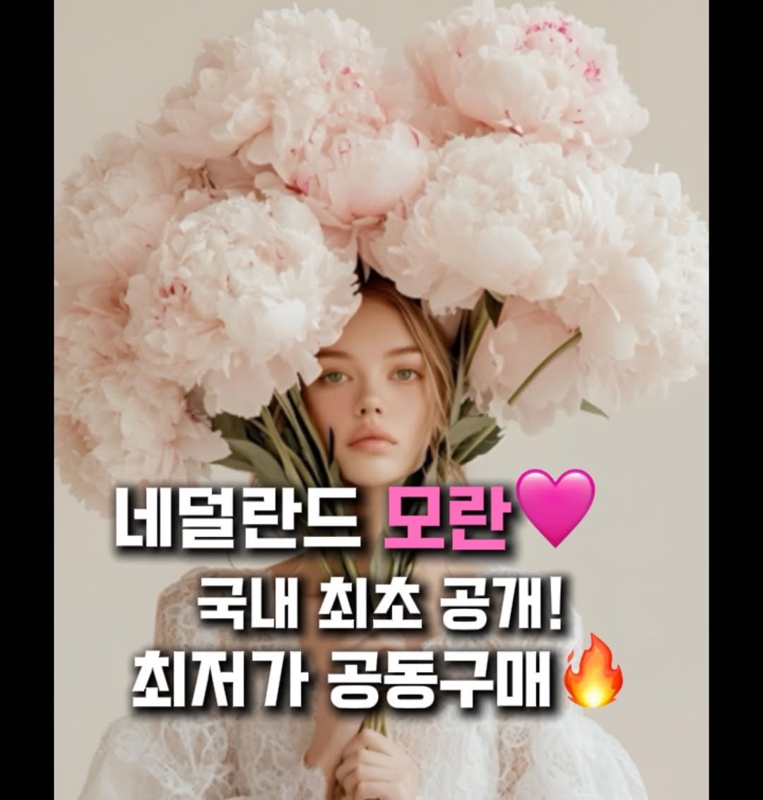 Photo shared by 숲속의작은집 [코티지더베르] 정원소녀 on February 08, 2026 tagging @cottage_the_vert_rosihan. May be an image of text that says '네덜란드 모란 국내 최초 공개! 최저가 공동구매'.